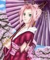 poze sakura &nbsp;